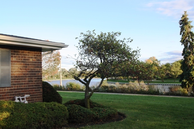 931 Shattuck Lane, Unit 931 Schaumburg, IL 60193 - Photo 11 of 15 a backyard of a house with lots of green space and plants