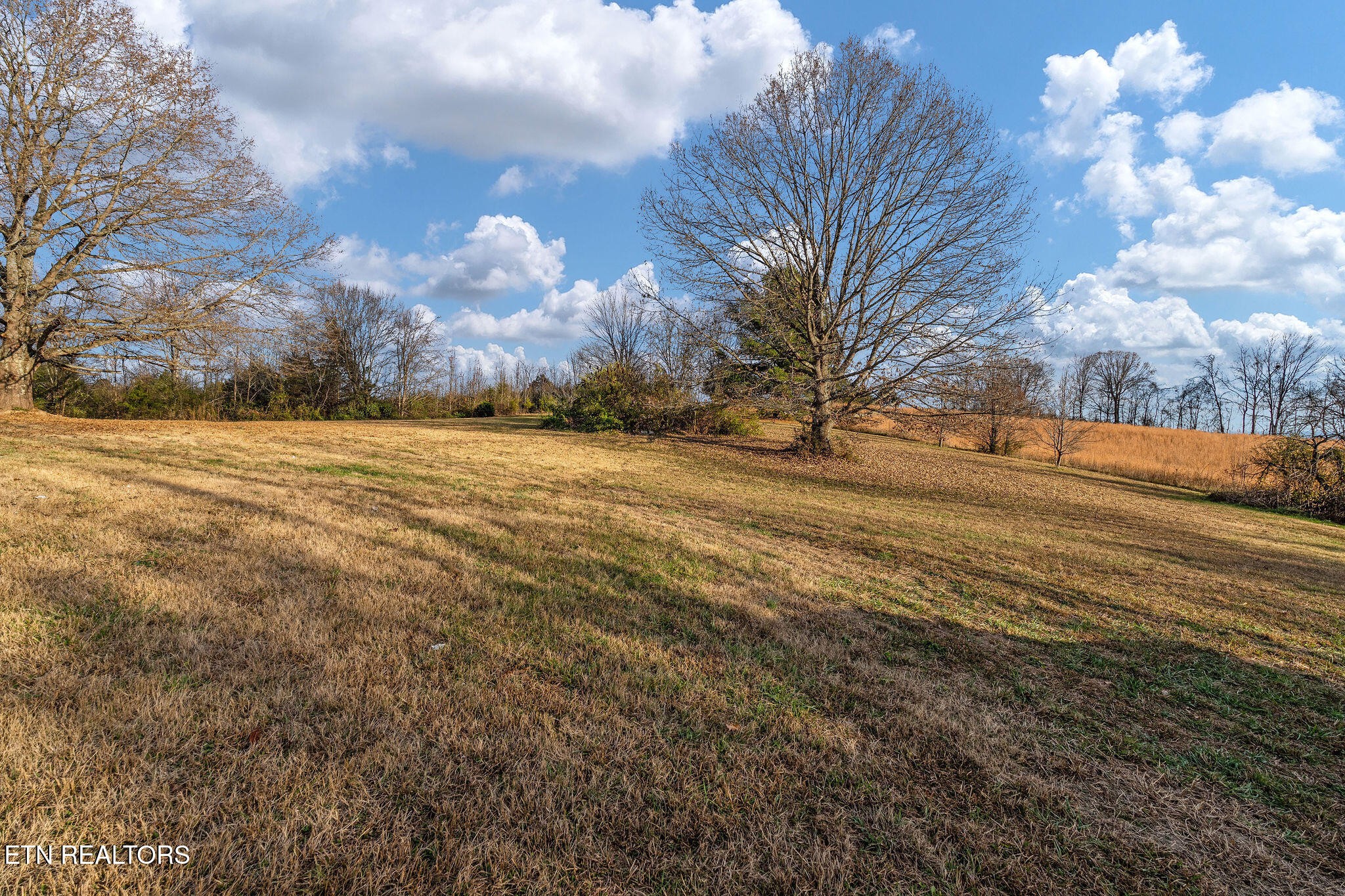 630 Arrowhead Loop Midway, TN 37809 - Photo 34 of 50