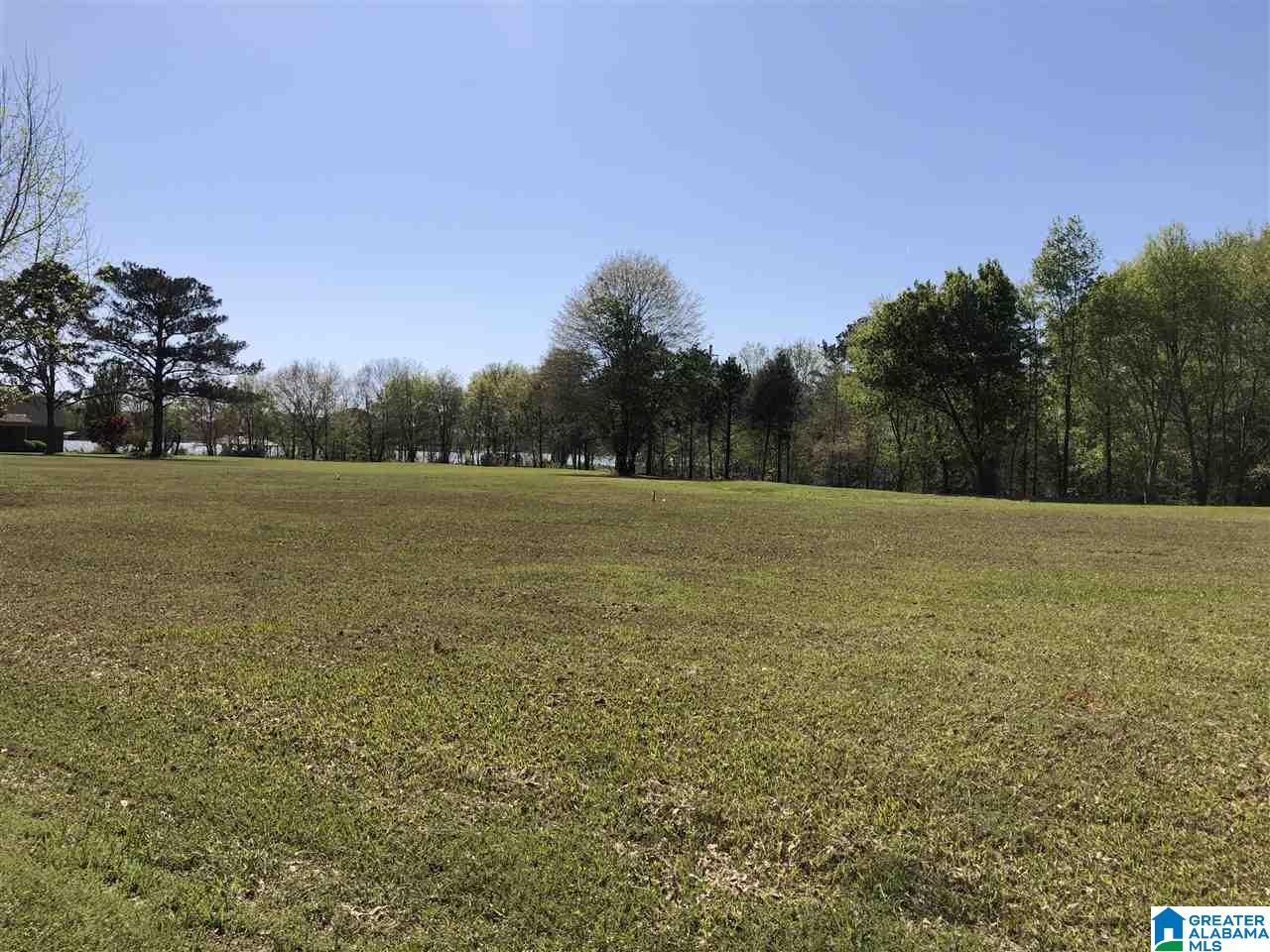 Carleton Point, Unit 13 Wilsonville, AL 35186 - Photo 2 of 9