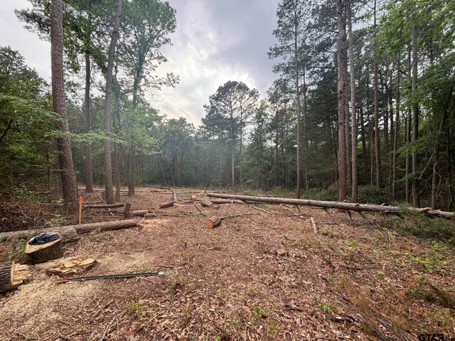 $38,500 | Tbd Zinnia Road, Diana, TX 75640