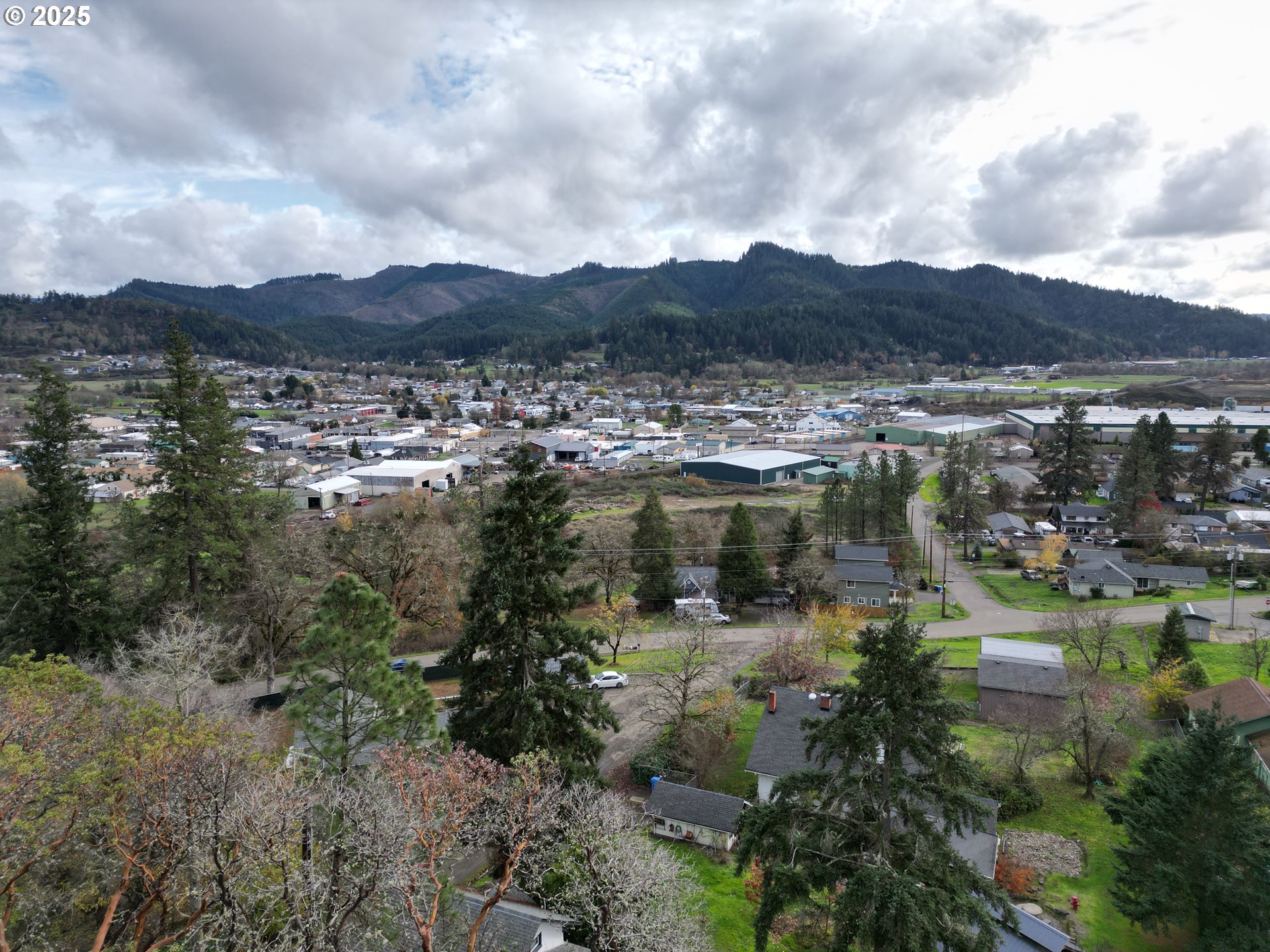 575 Cedar Street Sutherlin, OR 97479 - Photo 39 of 47 a view of a lake in middle of the forest
