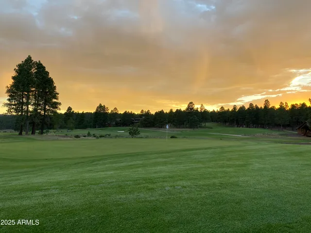 a view of grassy field with trees
