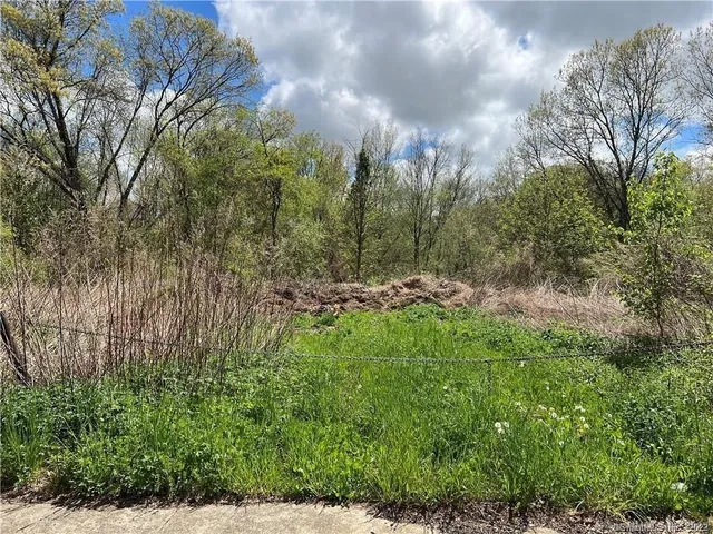 a view of a yard with large trees