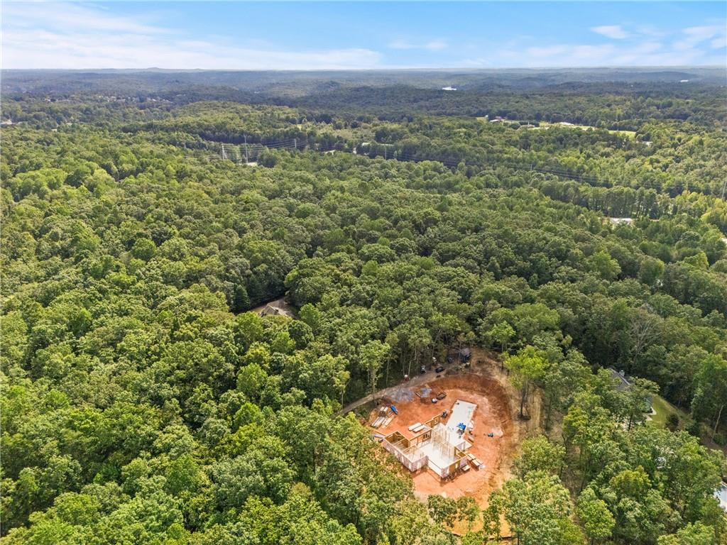 385 River Bend Road Dawsonville, GA 30534 - Photo 31 of 42 a view of a yard with an ocean