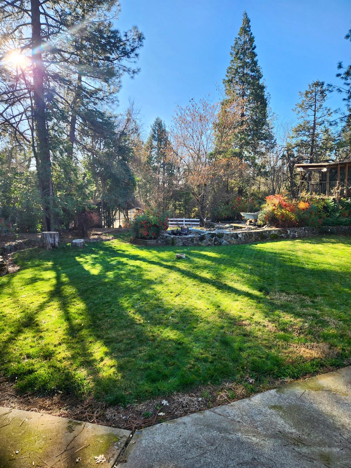 8688 La Porte Road Brownsville, CA 95919 - Photo 18 of 27