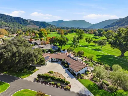a swimming pool with some potted plants and large tree