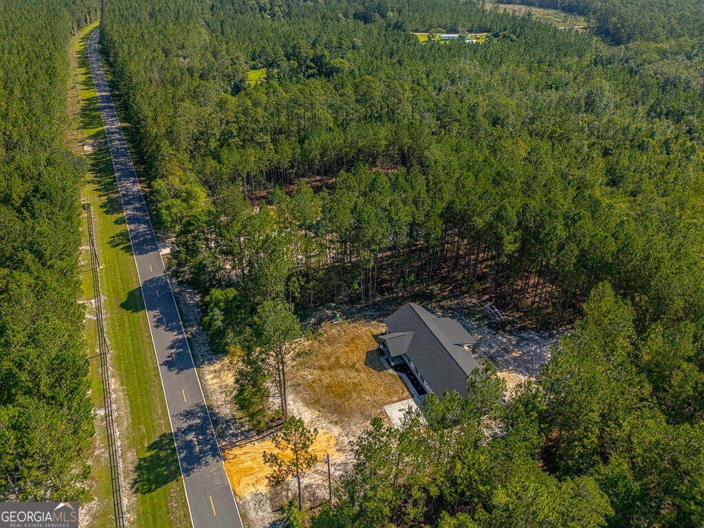 7299 Manningtown Road Jesup, GA 31546 - Photo 40 of 44