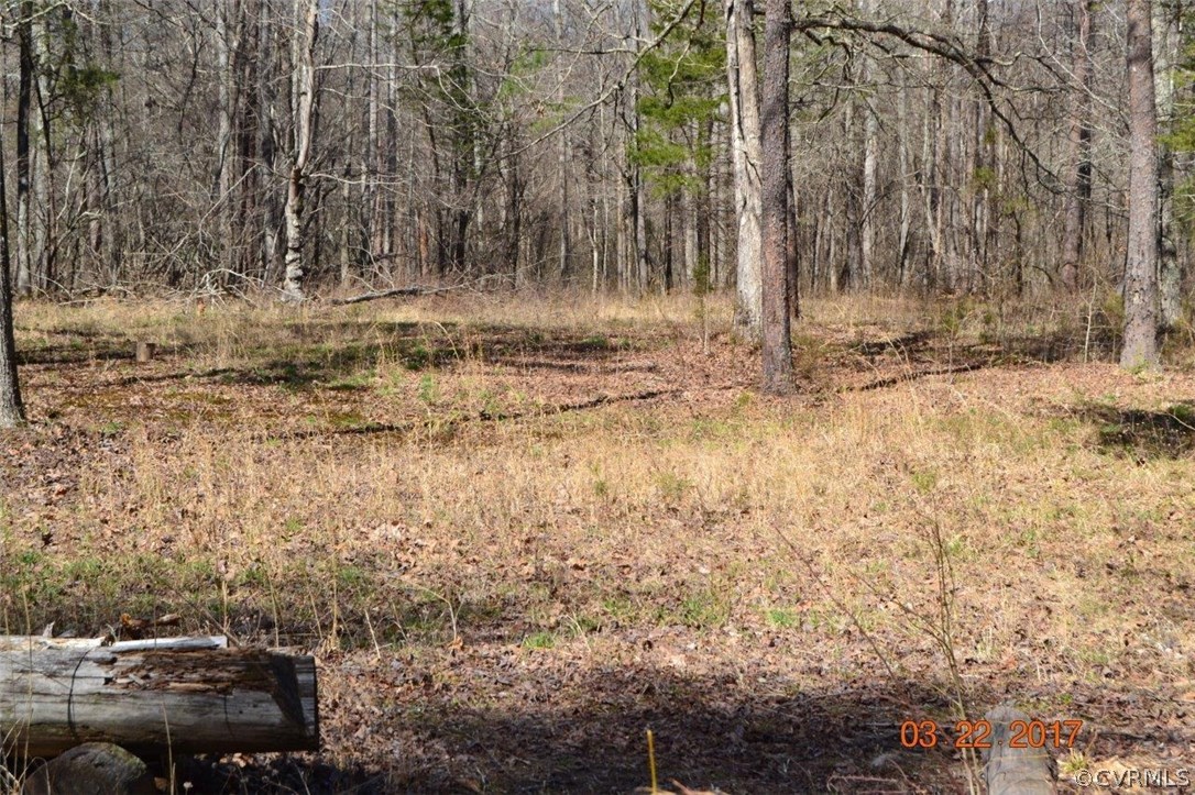 225 Bigger Road Cumberland, VA 23040 - Photo 14 of 18 Gallery Image 14