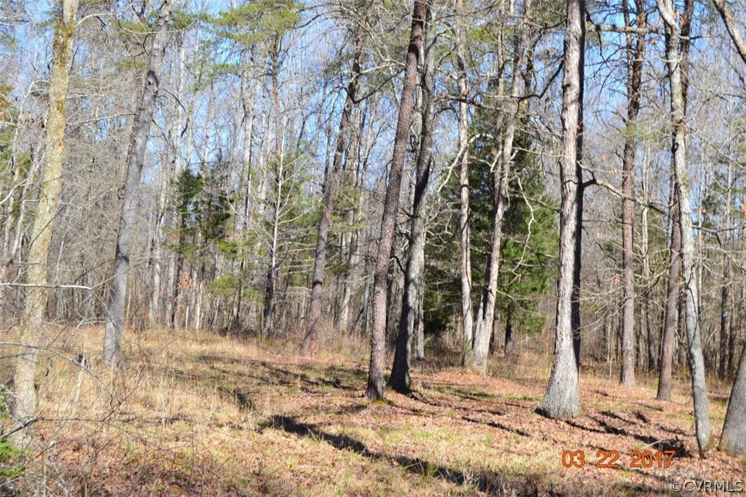 225 Bigger Road Cumberland, VA 23040 - Photo 3 of 18 Gallery Image 3