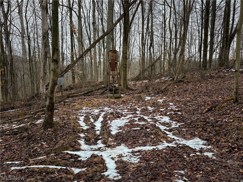 0 Tract 4 Twp Road Woodsfield, OH 43793 - Photo 27 of 34