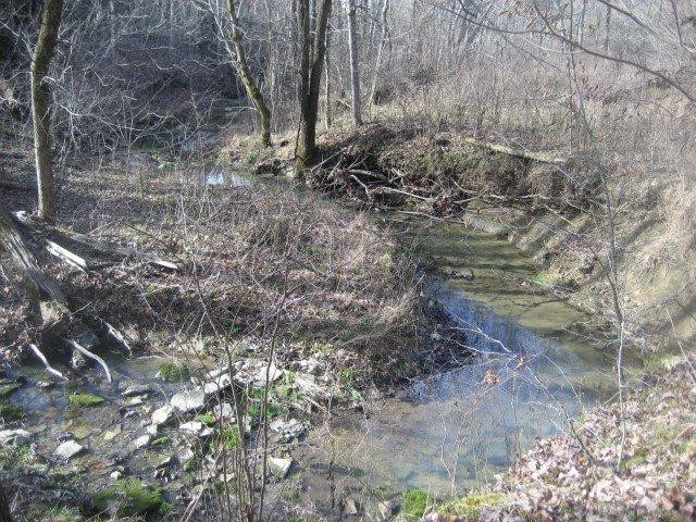 1370 Mays Road Lawrenceburg, KY 40342 - Photo 21 of 24 Photo 21