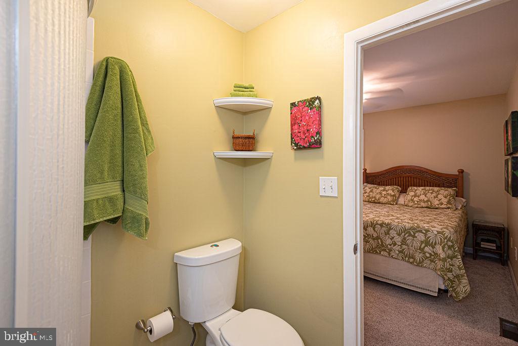 33 Falcon Bridge Road Ocean Pines, MD 21811 - Photo 51 of 71 a bathroom with a toilet and a sink