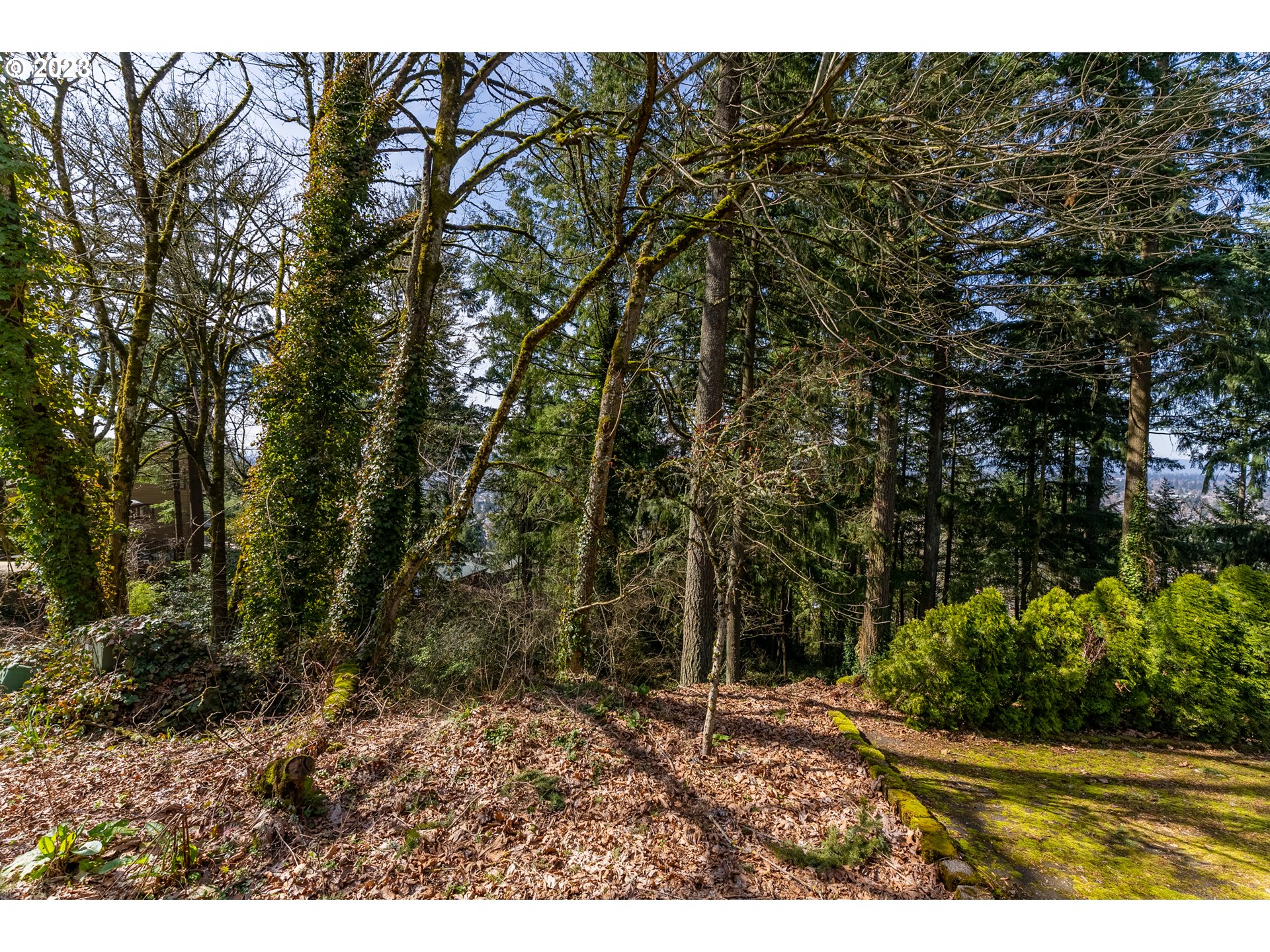 Northeast Rocky Butte Road Portland, OR 97220 - Photo 5 of 13