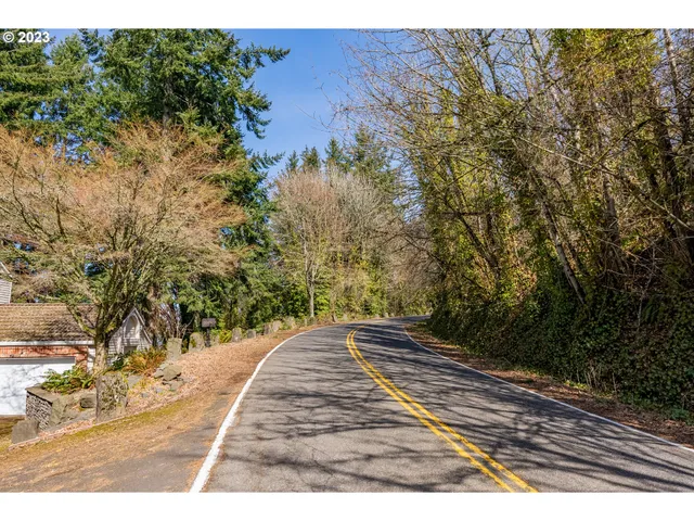 a view of backyard with green space