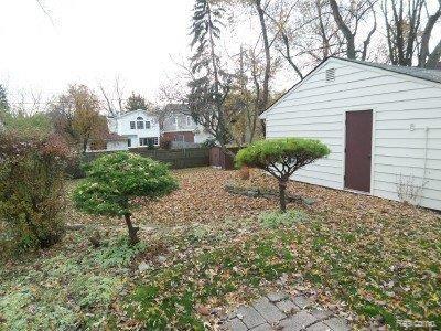 back yard