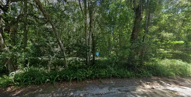 $37,999 | 101 Southwest 6th Street, Micanopy, FL 32667
