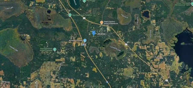 $37,999 | 101 Southwest 6th Street, Micanopy, FL 32667