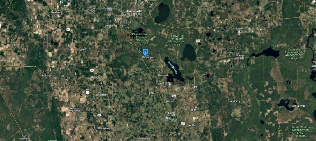 101 Southwest 6th Street Micanopy, FL 32667 - Photo 5 of 6