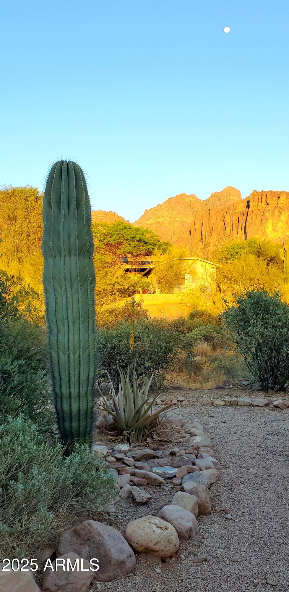 3243 North Val Vista Road Apache Junction, AZ 85119 - Photo 51 of 66 Tamara photo of cactus and mountain