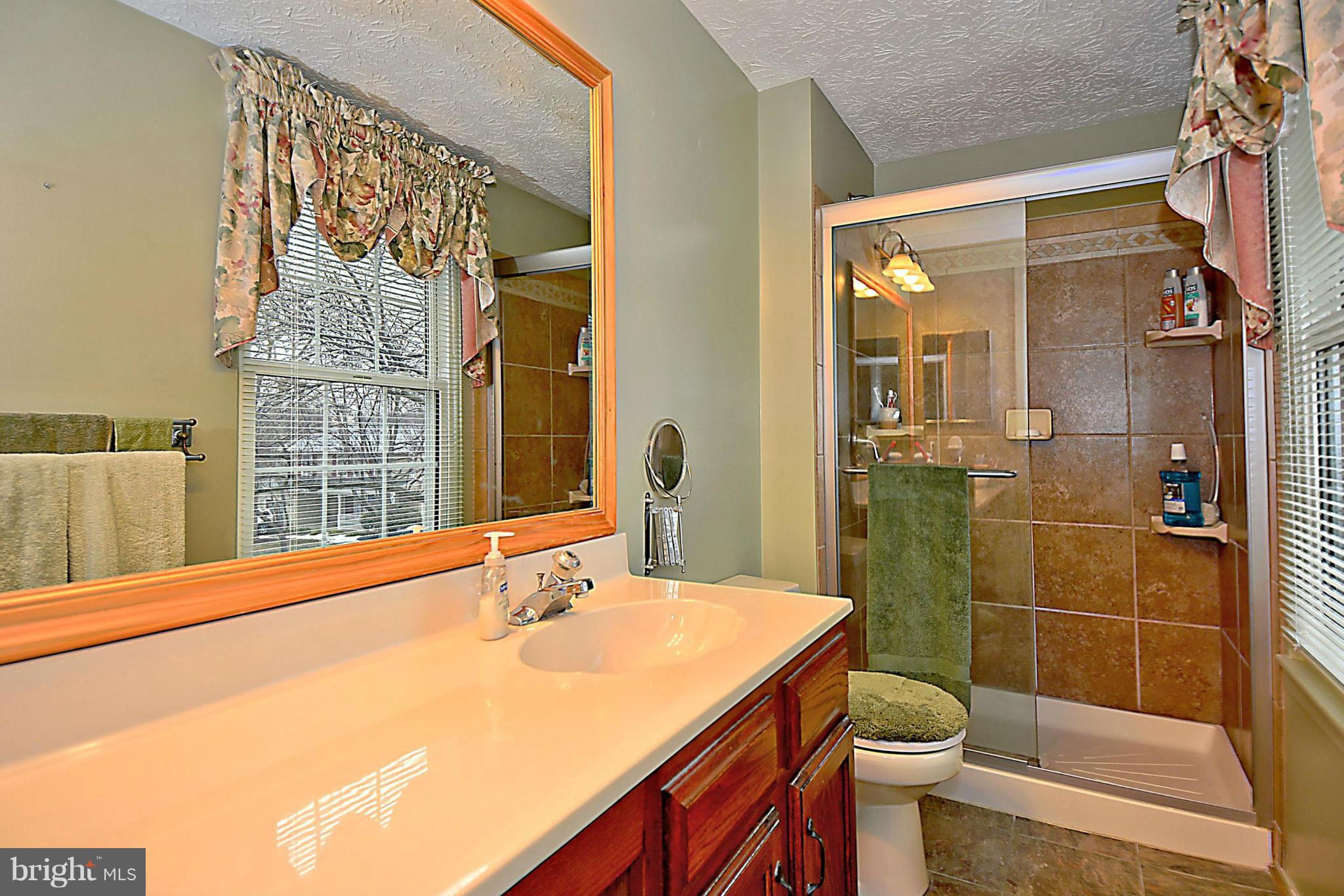 295 Raintree Drive Arnold, MD 21012 - Photo 11 of 20 Bath (Master) w/New Shower