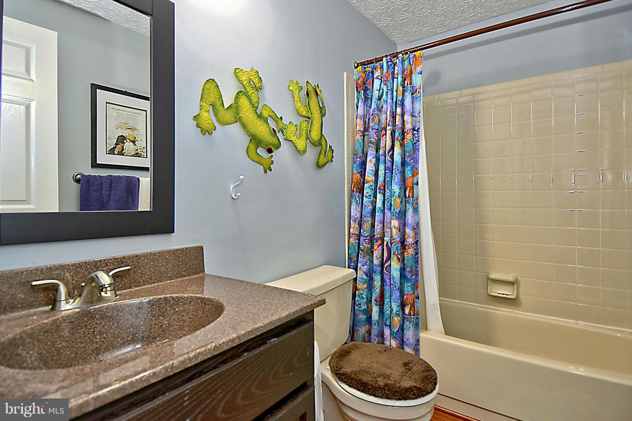 295 Raintree Drive Arnold, MD 21012 - Photo 14 of 20 Hall Bath