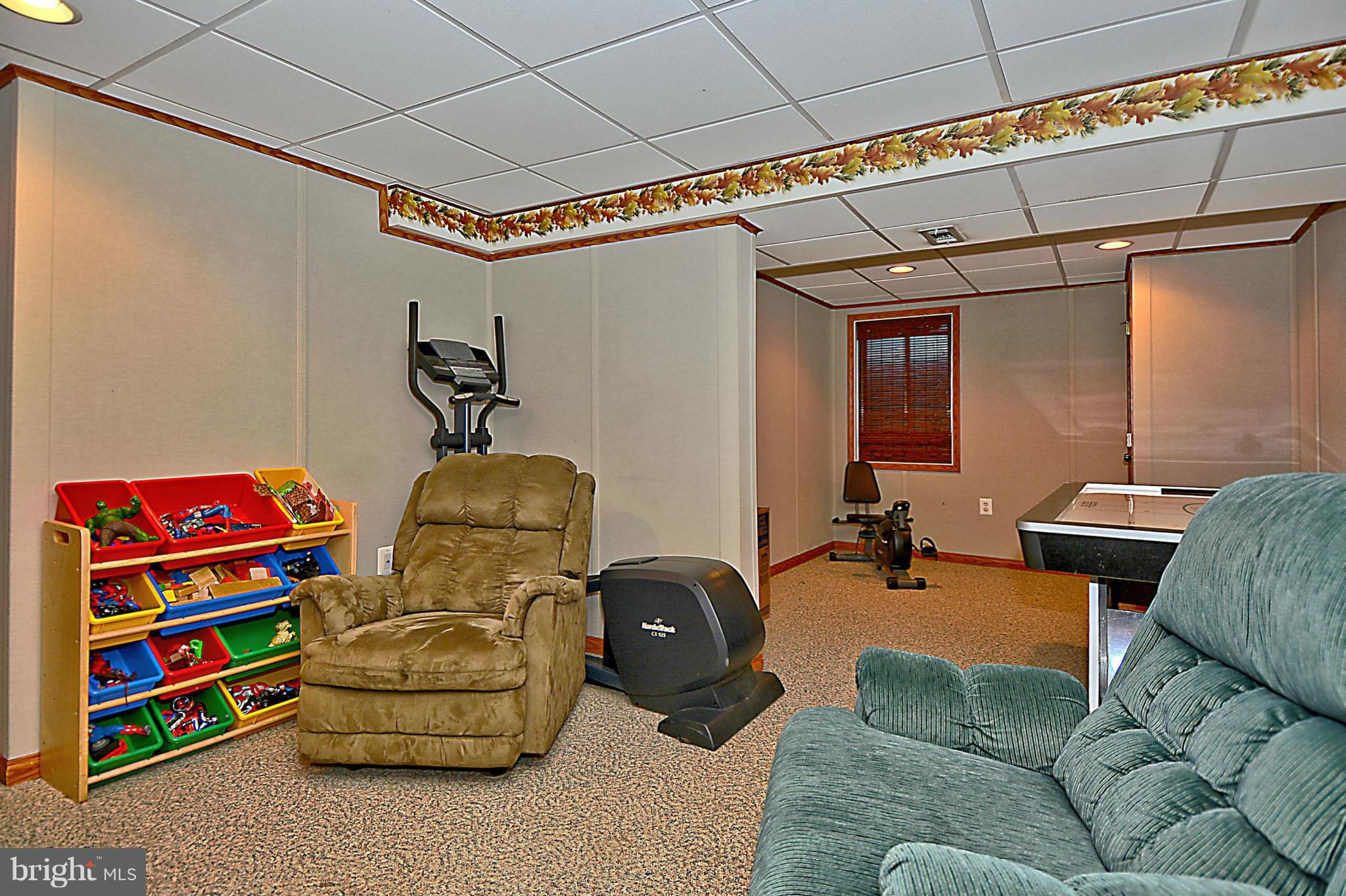 295 Raintree Drive Arnold, MD 21012 - Photo 17 of 20 Basement Rec Room - Perfect for Theater