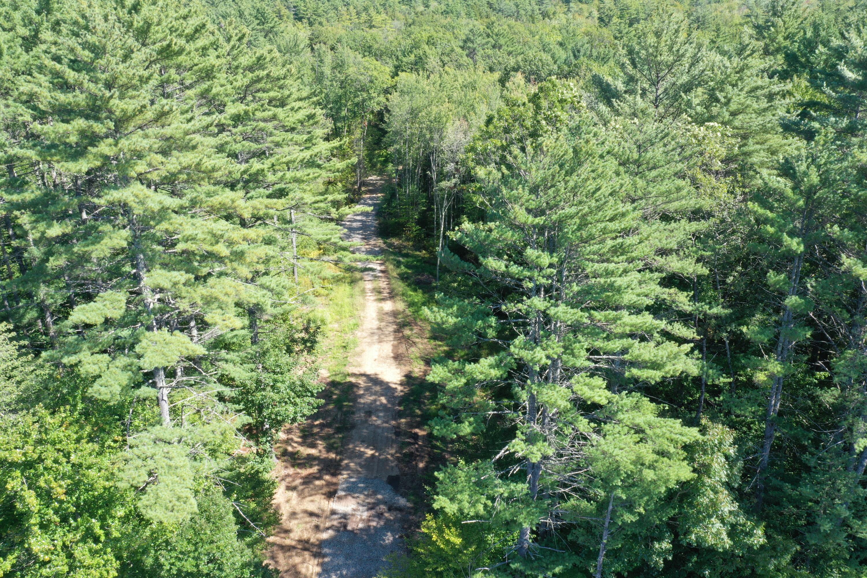 Lot 7 Province Lake Road Parsonsfield, ME 04047 - Photo 11 of 14 DJI_0772
