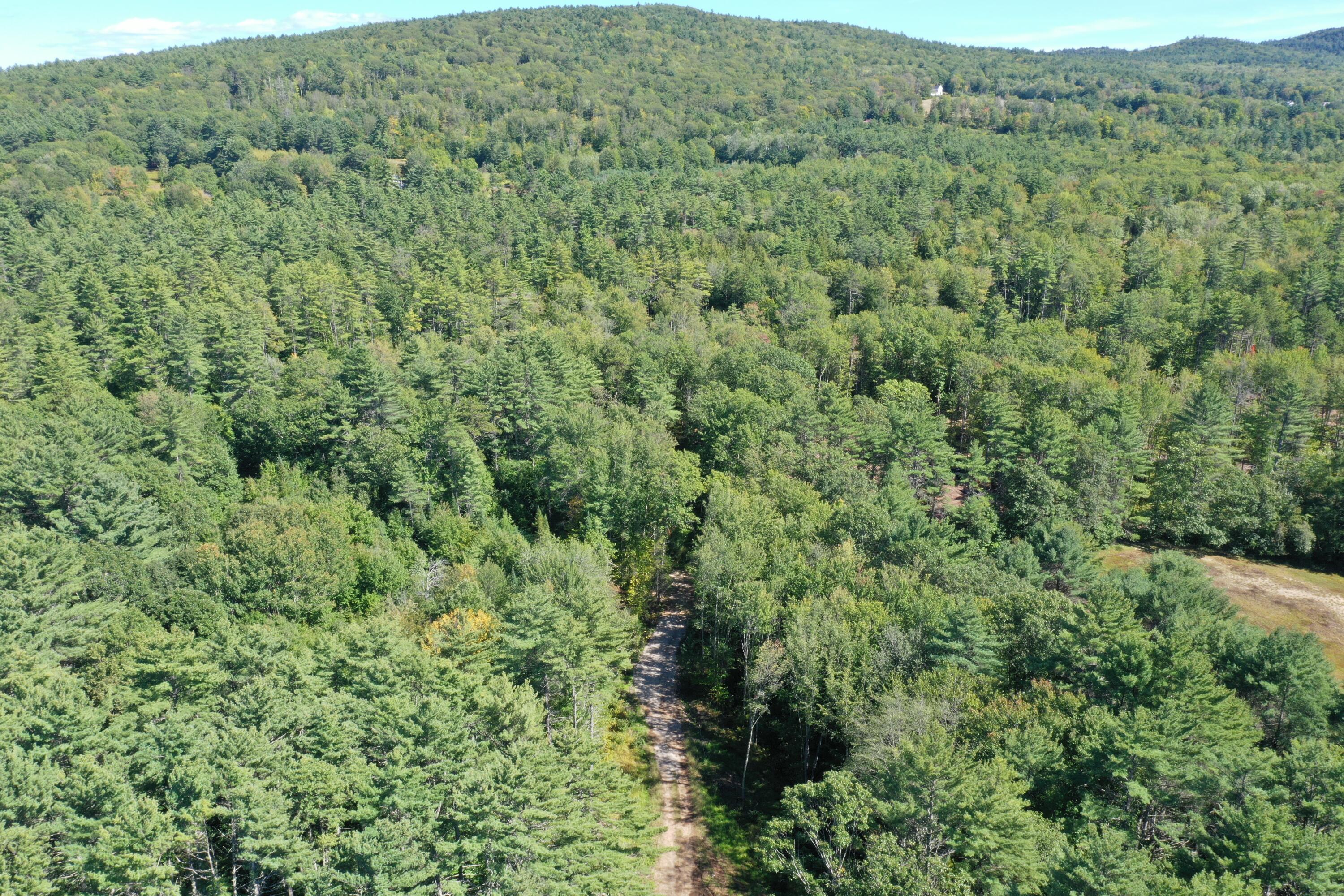 Lot 7 Province Lake Road Parsonsfield, ME 04047 - Photo 12 of 14 DJI_0774
