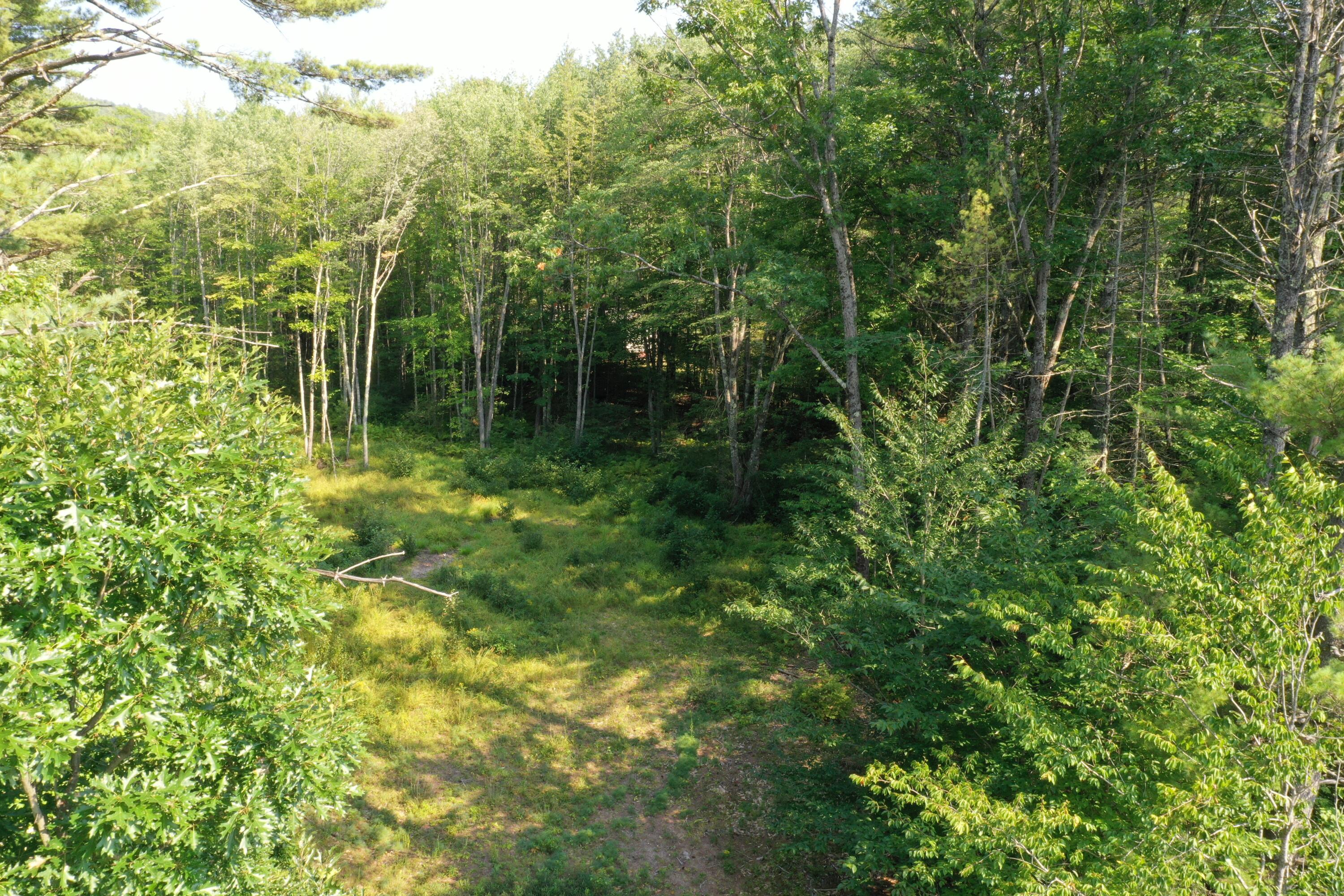 Lot 7 Province Lake Road Parsonsfield, ME 04047 - Photo 4 of 14 2