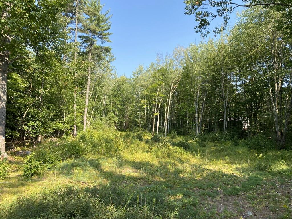 Lot 7 Province Lake Road Parsonsfield, ME 04047 - Photo 5 of 14 1