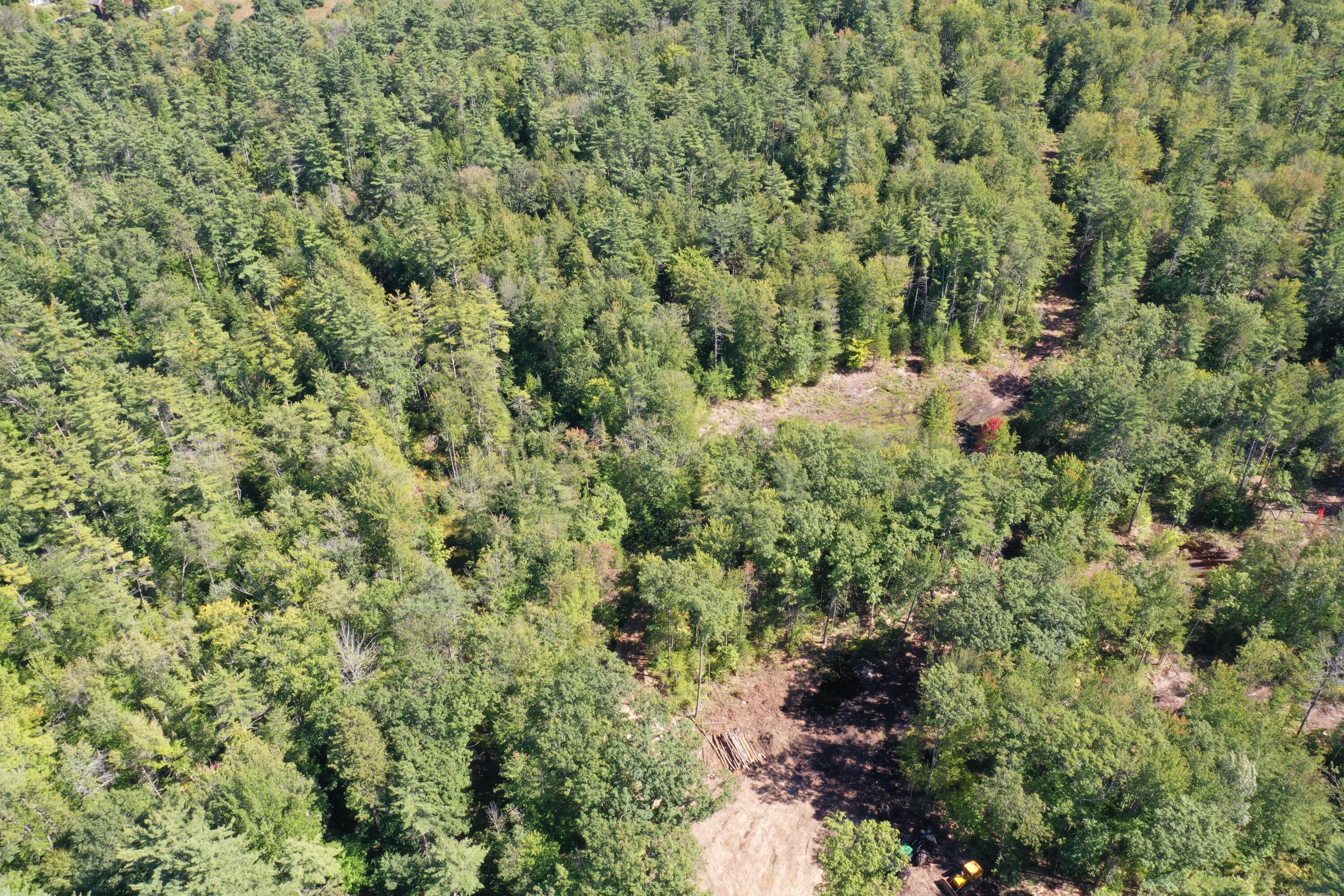 Lot 7 Province Lake Road Parsonsfield, ME 04047 - Photo 9 of 14 DJI_0778