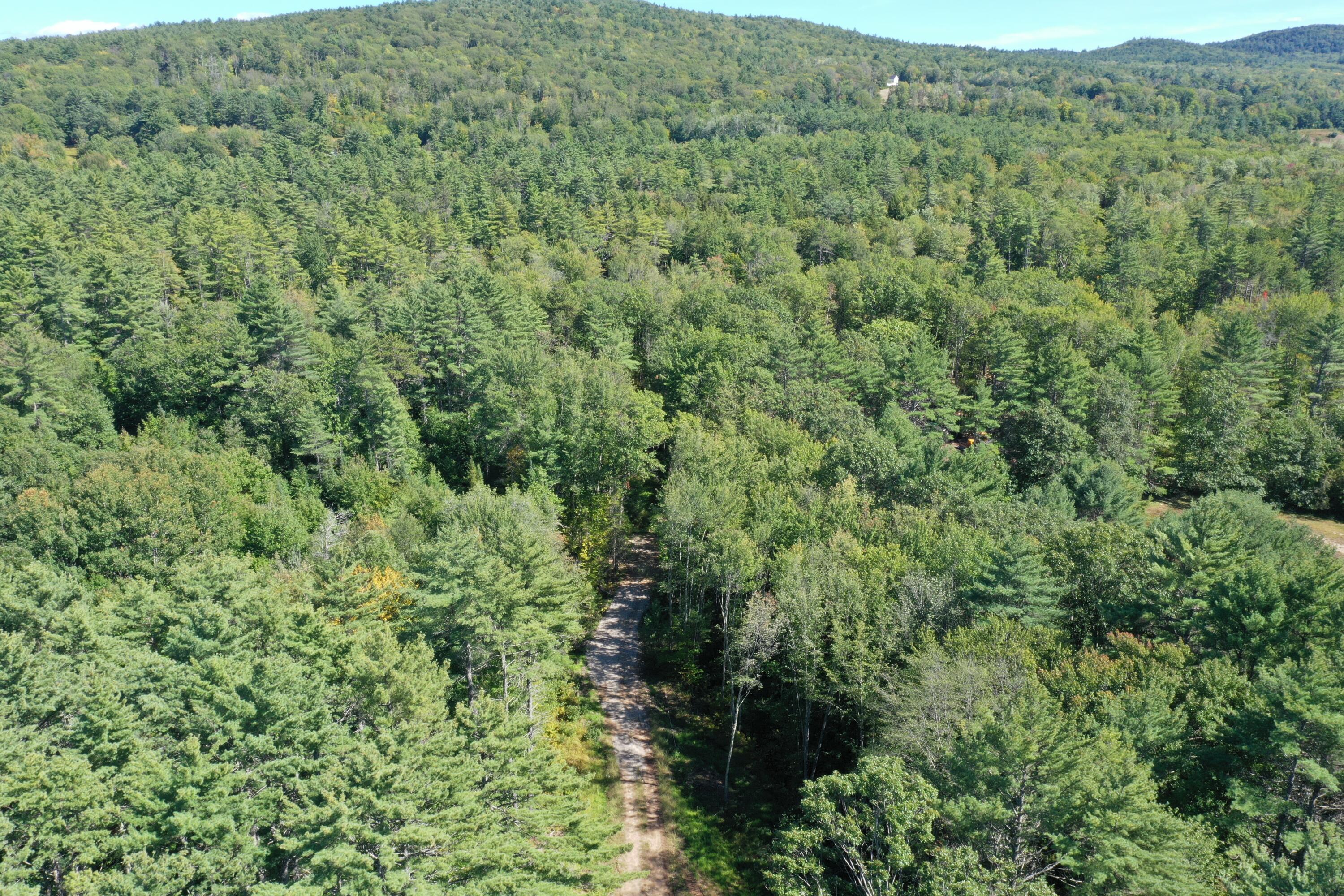 Lot 7 Province Lake Road Parsonsfield, ME 04047 - Photo 10 of 14 DJI_0773