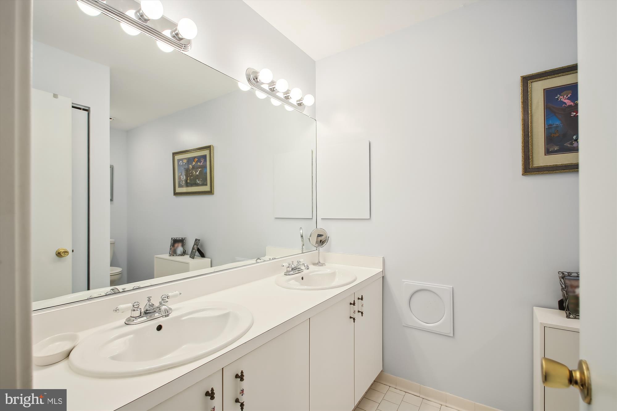 312 Delight Meadows Road Reisterstown, MD 21136 - Photo 26 of 37 Primary Bath with Double Vanity and Walk-in Shower