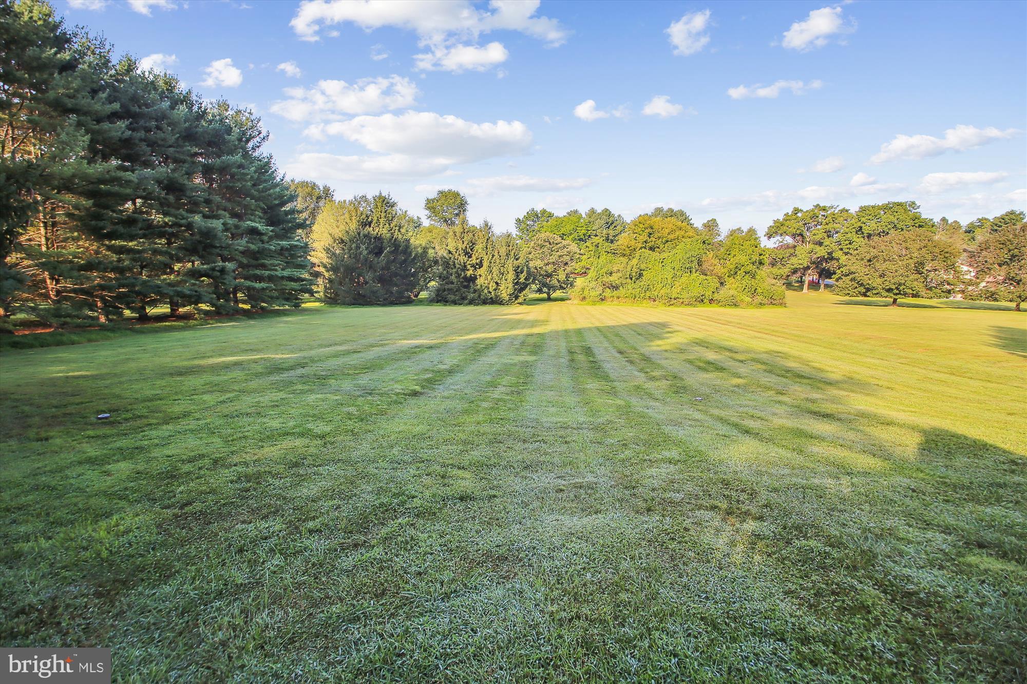 312 Delight Meadows Road Reisterstown, MD 21136 - Photo 8 of 37 Level Back Yard (Total Lot Size 1.45 ac)