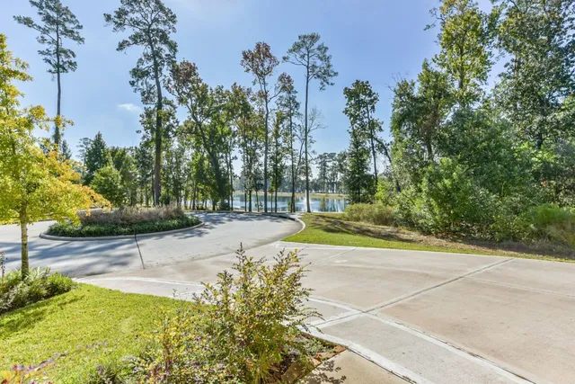 a view of a yard with plants and trees
