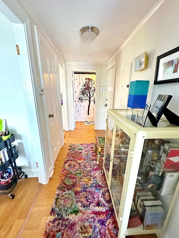 242 Princeton Street, Unit 3 Boston, MA 02128 - Photo 3 of 12