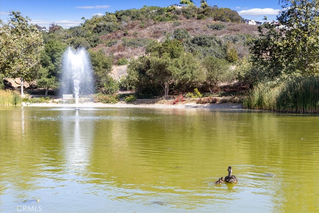 2453 Lapis Road Carlsbad, CA 92009 - Photo 48 of 74