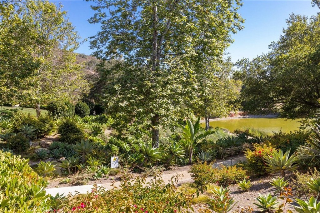 2453 Lapis Road Carlsbad, CA 92009 - Photo 53 of 74