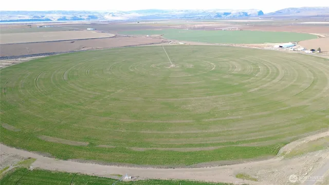 a picture of a yard with a house