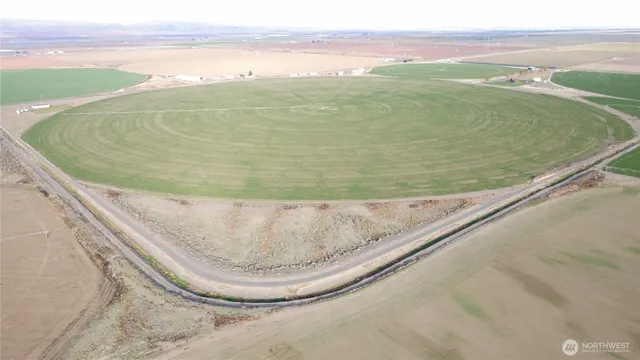 a view of a big yard with a house in the background