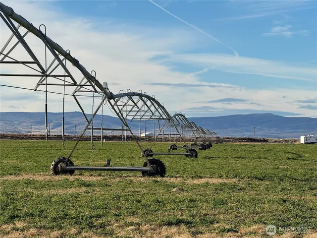 a view of a door and wooden cabinets