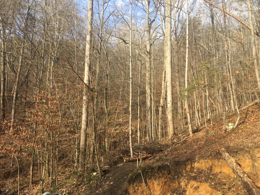369 Lone Mountain Road Andersonville, TN 37705 - Photo 12 of 18 IMG_7739