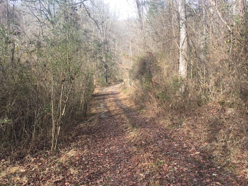 369 Lone Mountain Road Andersonville, TN 37705 - Photo 16 of 18 IMG_7744