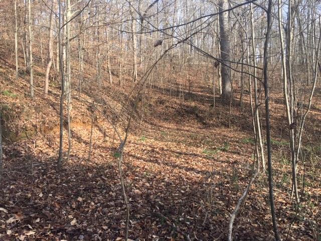 369 Lone Mountain Road Andersonville, TN 37705 - Photo 18 of 18 IMG_7743