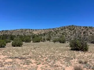 a view of a dry yard with trees