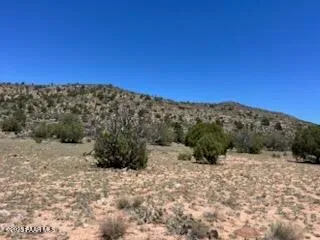a view of a dry yard with a mountain