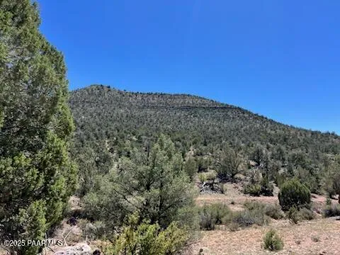 a view of a dry yard
