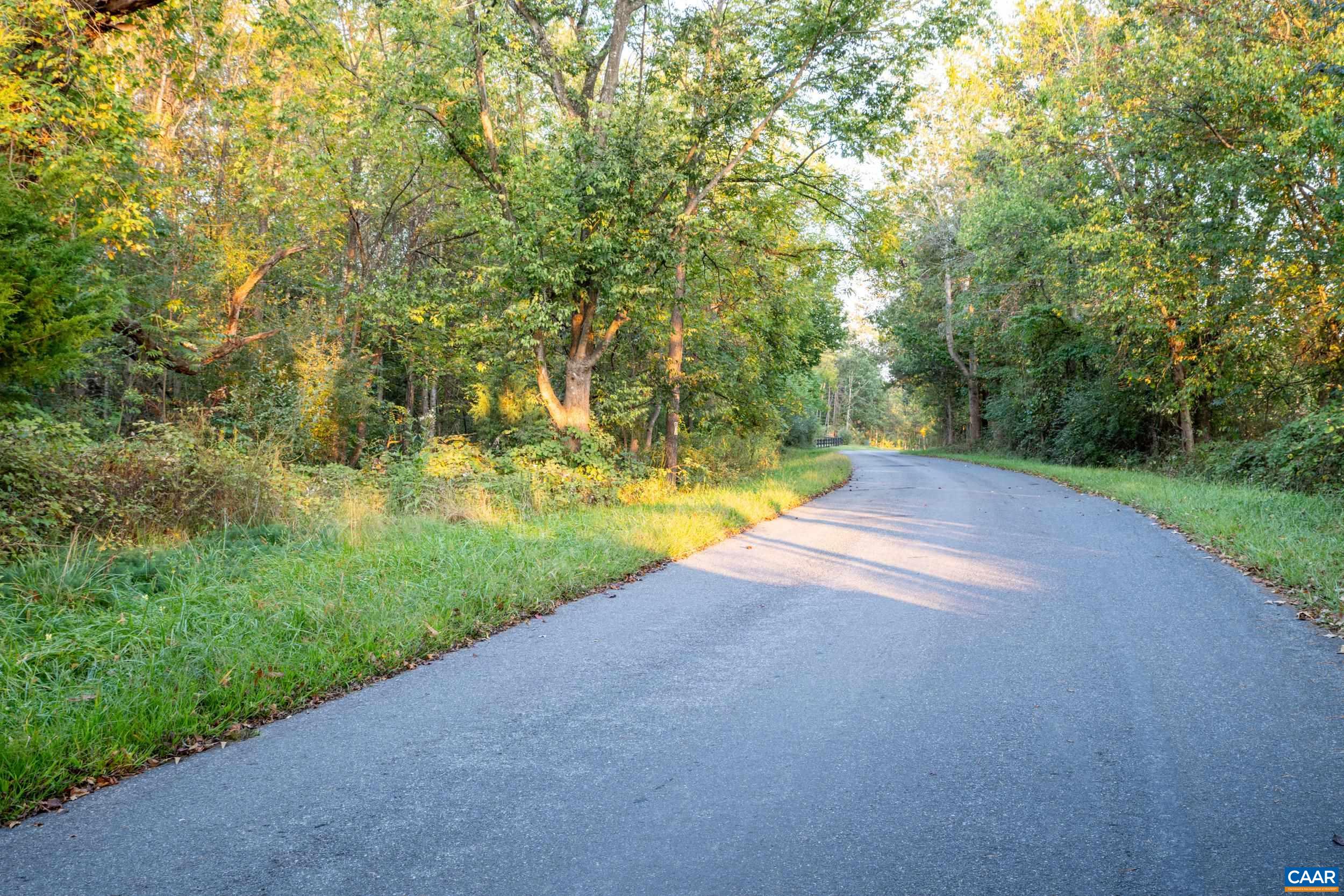 Blue Run Road Somerset, VA 22972 - Photo 17 of 20 a view of a yard with trees