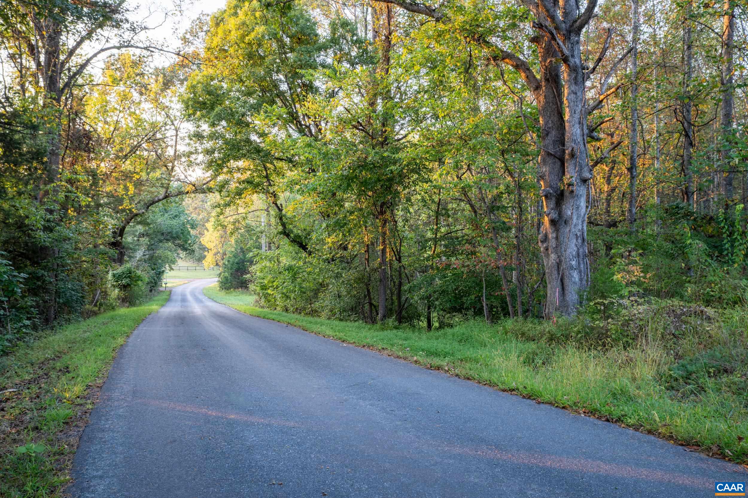 Blue Run Road Somerset, VA 22972 - Photo 18 of 20 a view of a yard with plants and trees