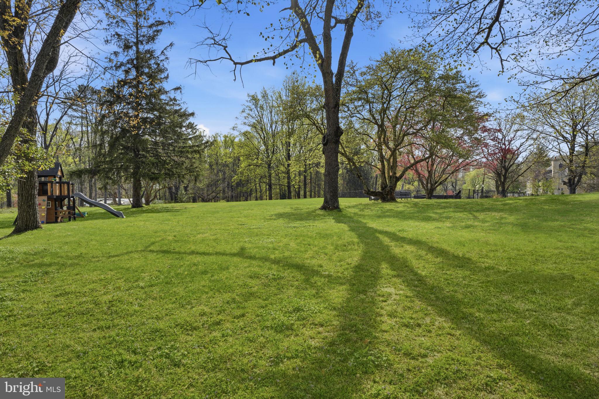 448 Moredon Road Huntingdon Valley, PA 19006 - Photo 55 of 66 a grassy field with trees in the background
